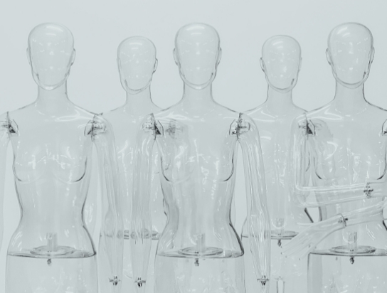 bibliothek bücher schätzung