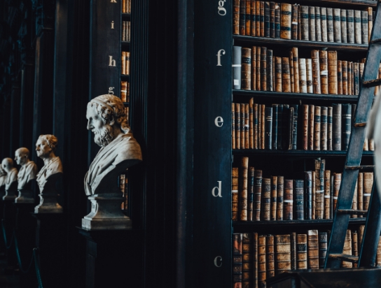 bibliothek bücher schätzung